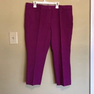 NWT The limited crop pants